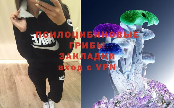 тгк Кулебаки