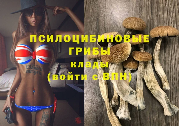 таблы Коряжма