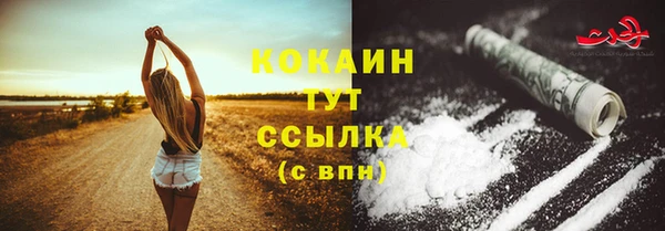 тгк Кулебаки