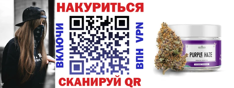блэк спрут   Будённовск  Каннабис план 